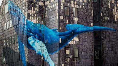 2022比特币交易平台app官网下载(比特币官方app软件)-第2张图片-欧易下载