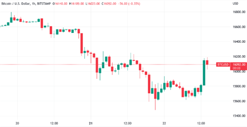 比特币价格重返16000美元 因BTC鲸鱼抛售警告-第1张图片-欧易下载