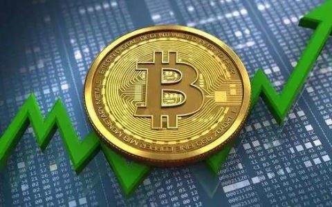 什么平台买比特币|虚拟币交易平台软件-第7张图片-欧易下载