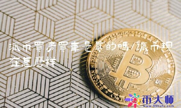 派币买房买车是真的吗-第1张图片-欧易下载