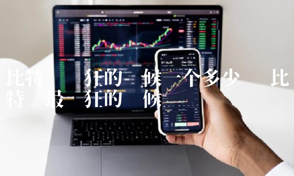 比特币疯狂的时候一个多少钱-第1张图片-欧易下载