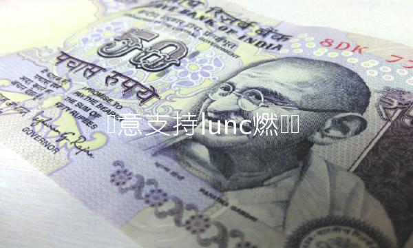 欧意支持lunc燃烧吗-第1张图片-欧易下载