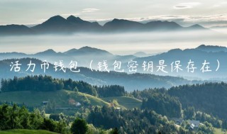 活力币钱包（钱包密钥是保存在）