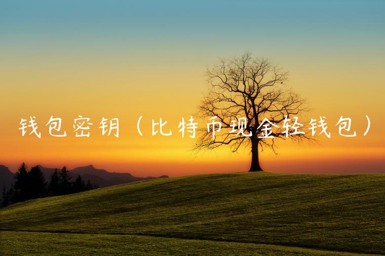 钱包密钥（比特币现金轻钱包）-第1张图片-欧易下载