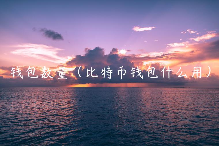 钱包数量（比特币钱包什么用）-第1张图片-欧易下载