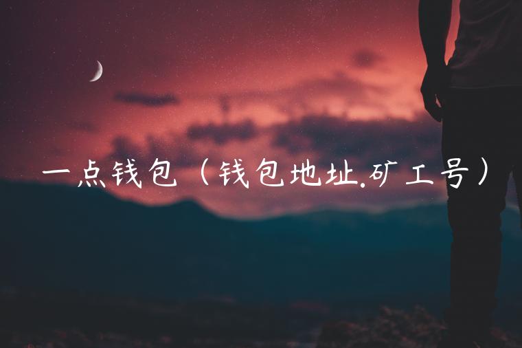 一点钱包（钱包地址.矿工号）-第1张图片-欧易下载