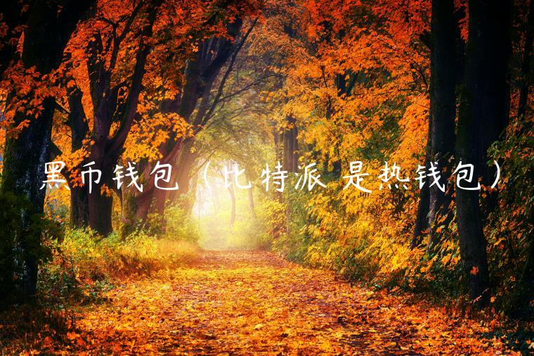 黑币钱包（比特派 是热钱包）-第1张图片-欧易下载