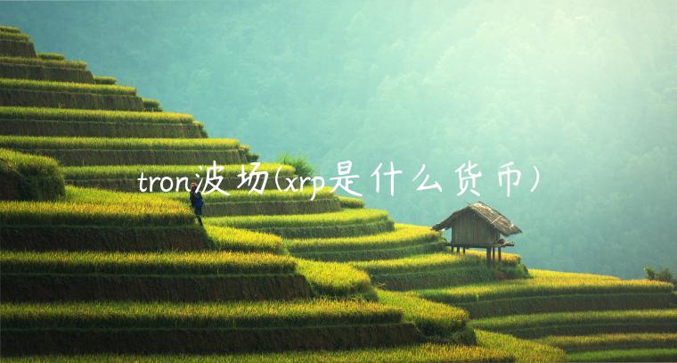 tron波场 - rp是什么货币-第1张图片-欧易下载