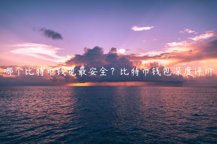 哪个比特币钱包最安全？比特币钱包深度评价-第1张图片-欧易下载