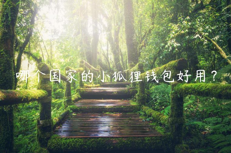 哪个国家的小狐狸钱包好用？-第1张图片-欧易下载
