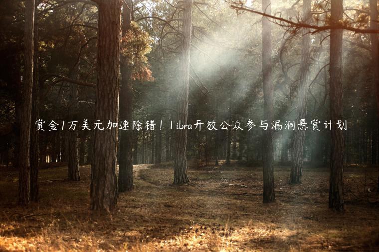 赏金1万美元加速除错！Libra开放公众参与漏洞悬赏计划-第1张图片-欧易下载