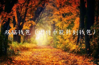 双脑钱包（比特币能转到钱包）