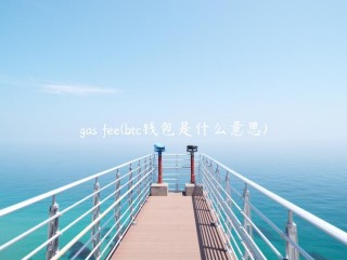 gas f - btc钱包是什么意思