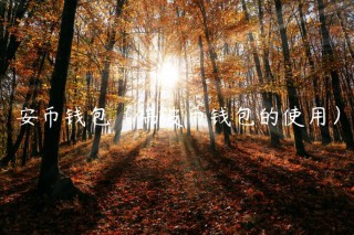 安币钱包（瑞波币钱包的使用）