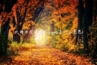 比特币挖矿成本 - crypto是什么意思
