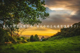 柴犬币是主流货币吗？柴犬币的总流通市值是多少！