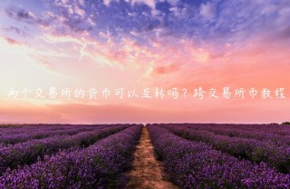 两个交易平台的货币可以互转吗？跨交易平台币教程