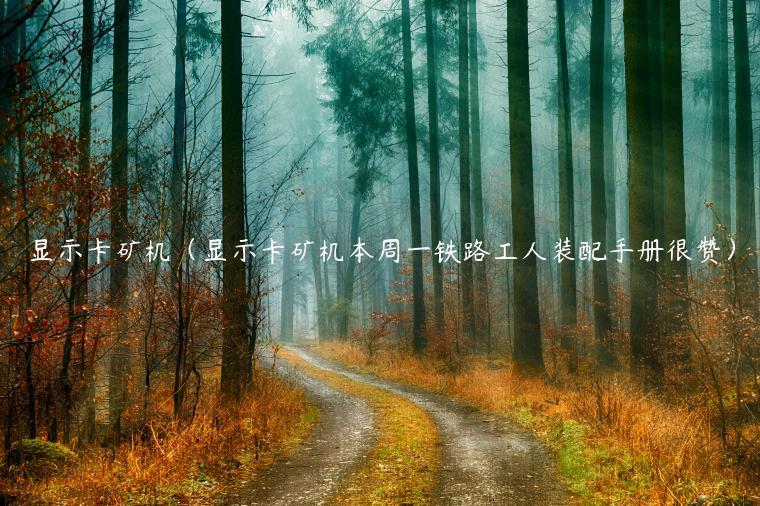 显示卡矿机（显示卡矿机本周一铁路工人装配手册很赞）-第1张图片-欧易下载