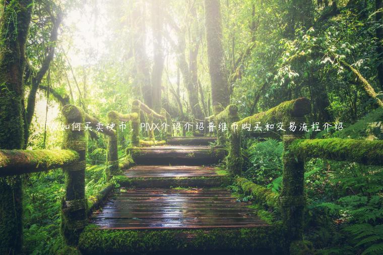 PIV如何买卖硬币，PIV介绍介绍普维币购买和交易流程介绍-第1张图片-欧易下载
