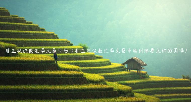 非正规位数汇率交易市场（非正规位数汇率交易市场到账要交纳的国吗）-第1张图片-欧易下载