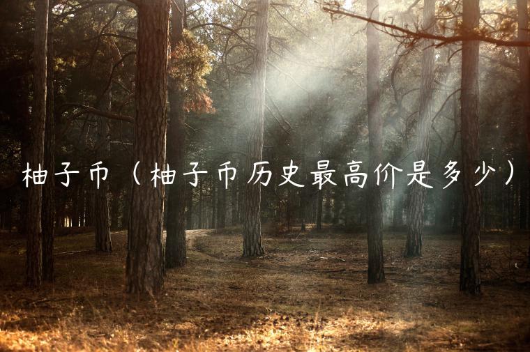 柚子币（柚子币历史最高价是多少）-第1张图片-欧易下载