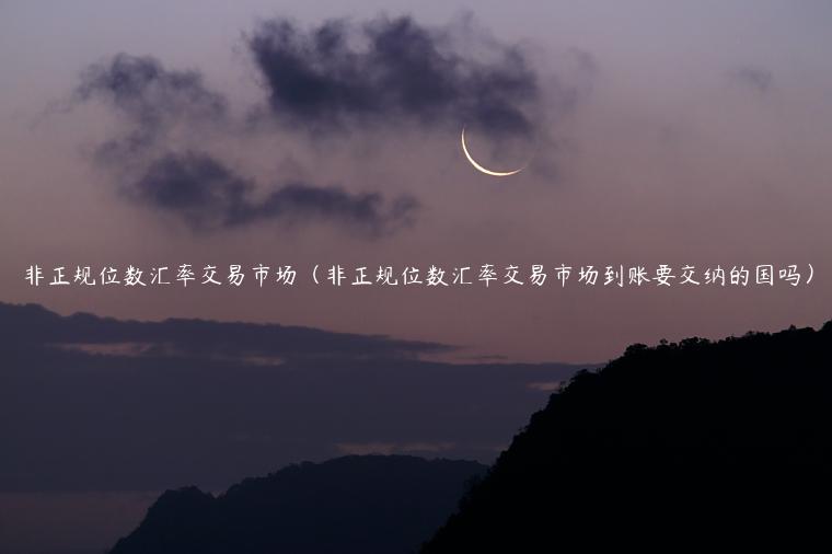 非正规位数汇率交易市场（非正规位数汇率交易市场到账要交纳的国吗）-第1张图片-欧易下载