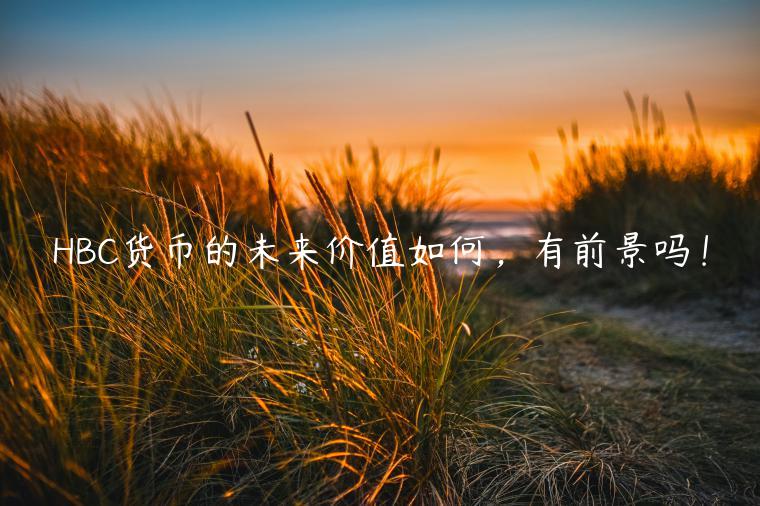 HBC货币的未来价值如何，有前景吗！-第1张图片-欧易下载