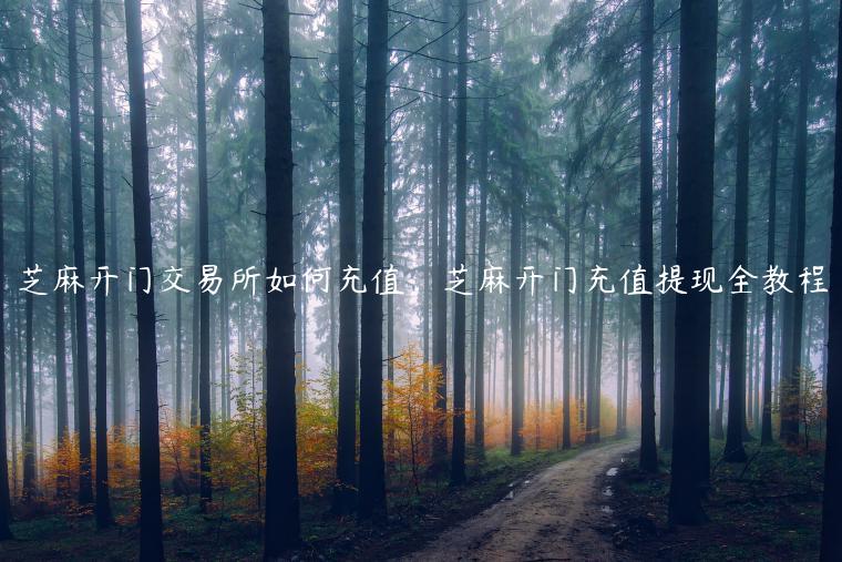 芝麻开门交易平台如何充值，芝麻开门充值提现全教程-第1张图片-欧易下载