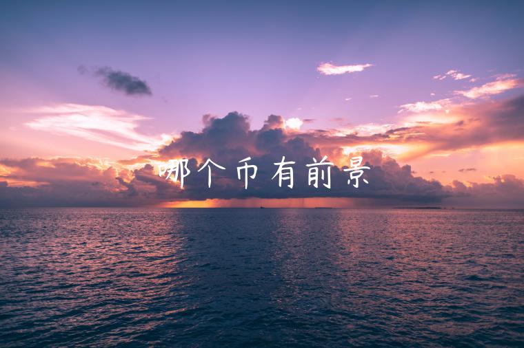 哪个币有前景-第1张图片-欧易下载