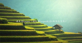 迪克币Longau（迪克币Longau机L5+两台几万元）
