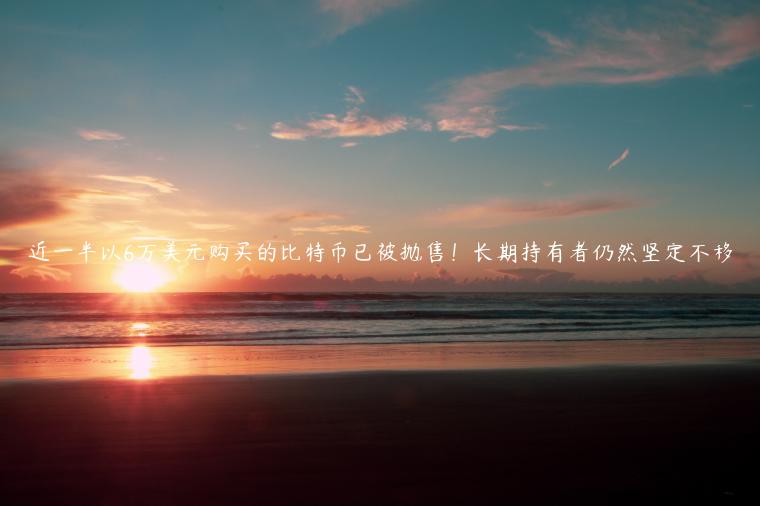 近一半以6万美元购买的比特币已被抛售！长期持有者仍然坚定不移-第1张图片-欧易下载