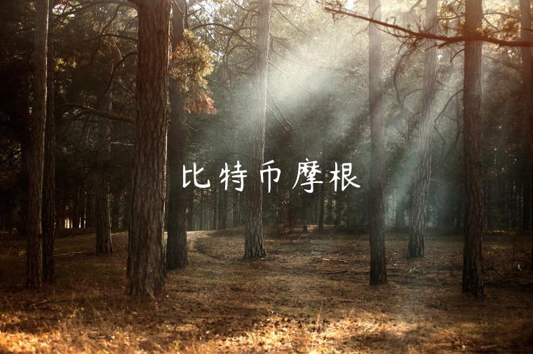 比特币摩根-第1张图片-欧易下载