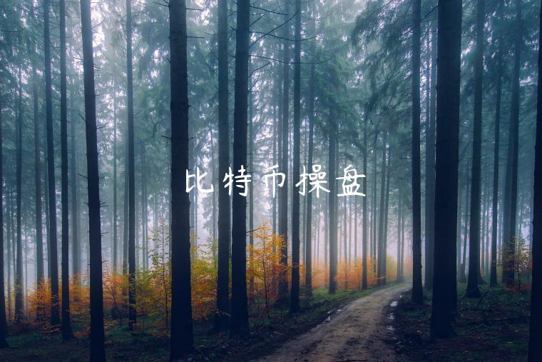 比特币操盘-第1张图片-欧易下载