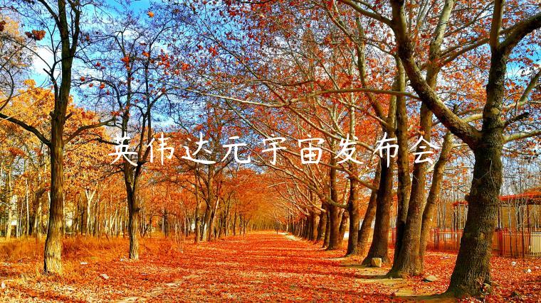 英伟达元宇宙发布会-第1张图片-欧易下载