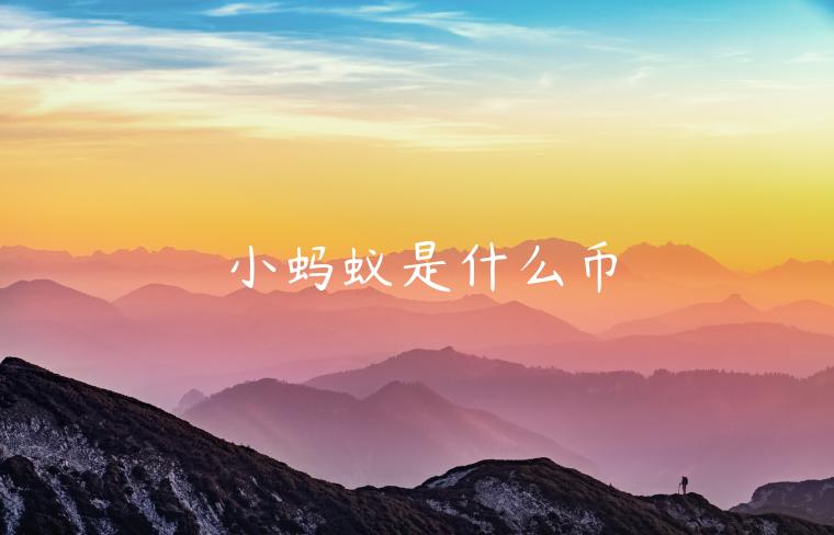 小蚂蚁是什么币-第1张图片-欧易下载