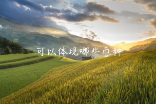 可以体现哪些币种