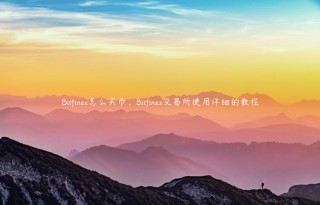 Bitfin怎么买币，Bitfin 交易平台使用详细的教程