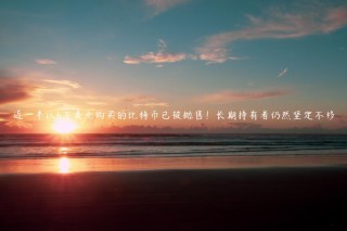 近一半以6万美元购买的比特币已被抛售！长期持有者仍然坚定不移