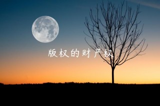 版权的财产权