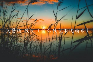 交易平台 钱包（什么钱包有比特币）