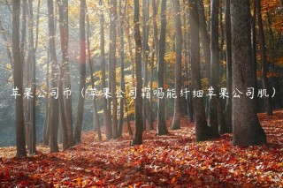 苹果公司币（苹果公司霜吗能纤细苹果公司肌）