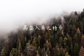 高盛入局比特币