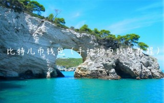 比特儿币钱包（手机狗币钱包教程）