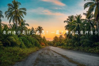质押借币是什么意思？一篇文章阅读质押借币