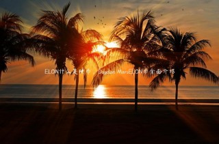 LON什么是硬币，Doglon MarsLON币全面介绍