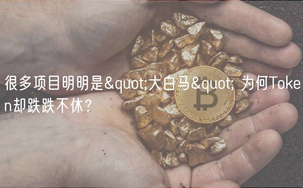 很多项目明明是&quot;大白马&quot; 为何Token却跌跌不休？-第1张图片-欧易下载