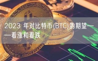 2023 年对比特币(BTC)的期望——看涨和看跌