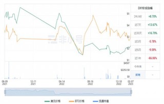 DY币值多少钱 DY币未来价值
