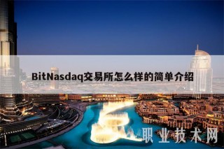 BitNasdaq交易平台怎么样的简单介绍