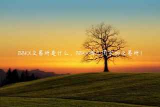 BBK 交易平台是什么，BBK哪个国家的 交易平台！
